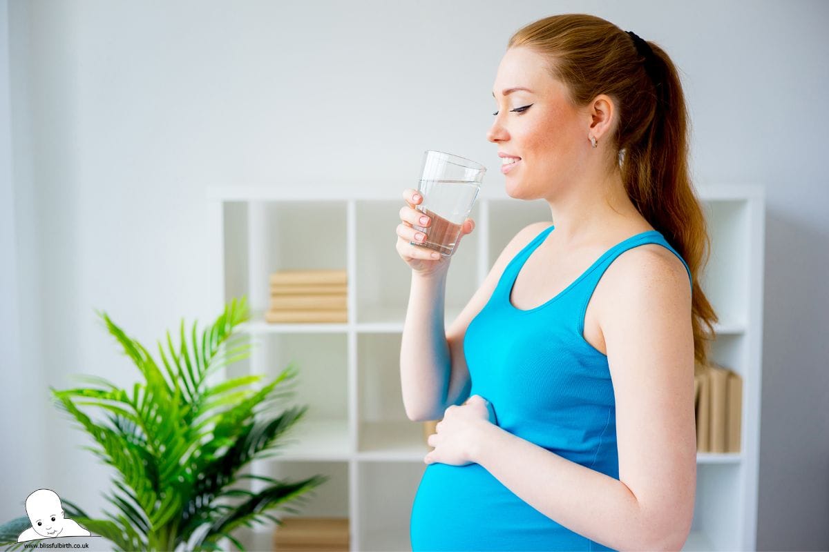 can you drink kombucha while pregnant?