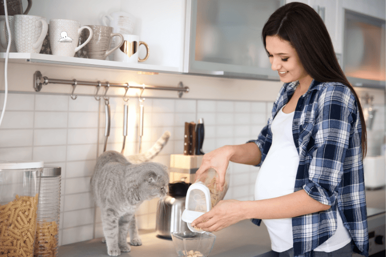 pregnant owner feeds cat