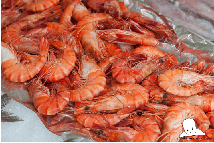 can pregnant women eat shrimp?